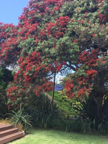 Absolute Waterfront Serenity Near Auckland Clarks Beach Buitenkant foto