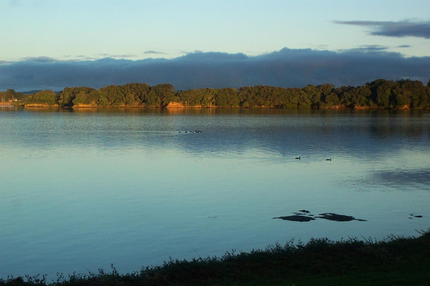 Absolute Waterfront Serenity Near Auckland Clarks Beach Buitenkant foto